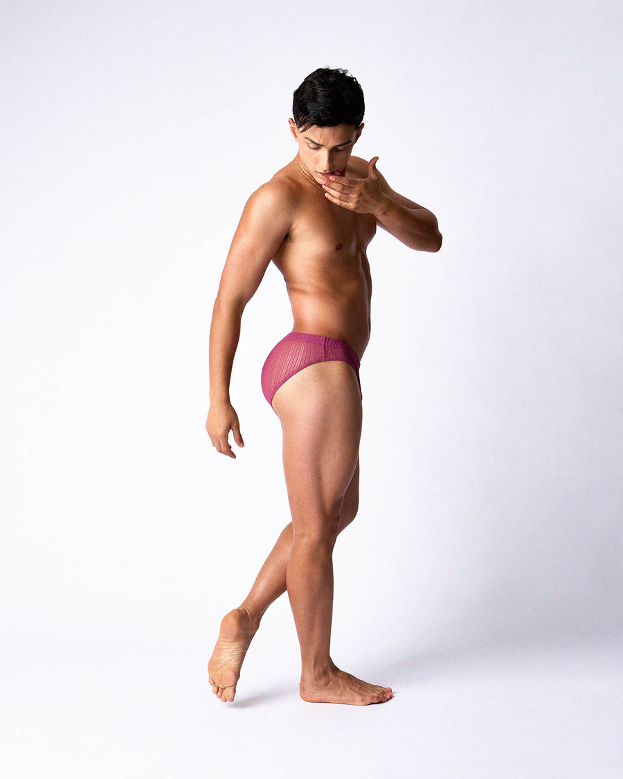 Romeo Sheer Bikini Brief - Dusk