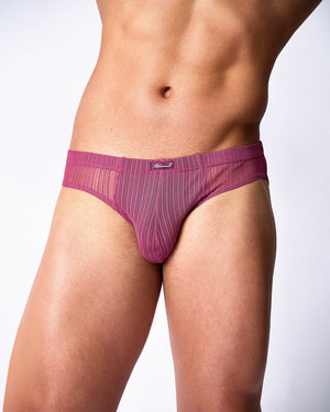 Romeo Sheer Bikini Brief - Dusk
