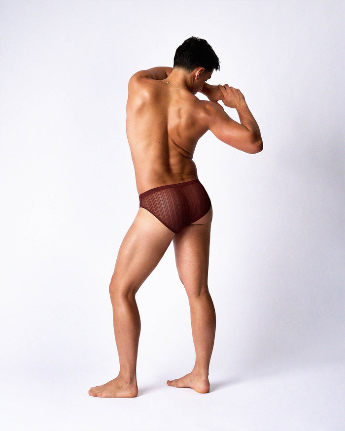 Romeo Sheer Bikini Brief - Mahogany