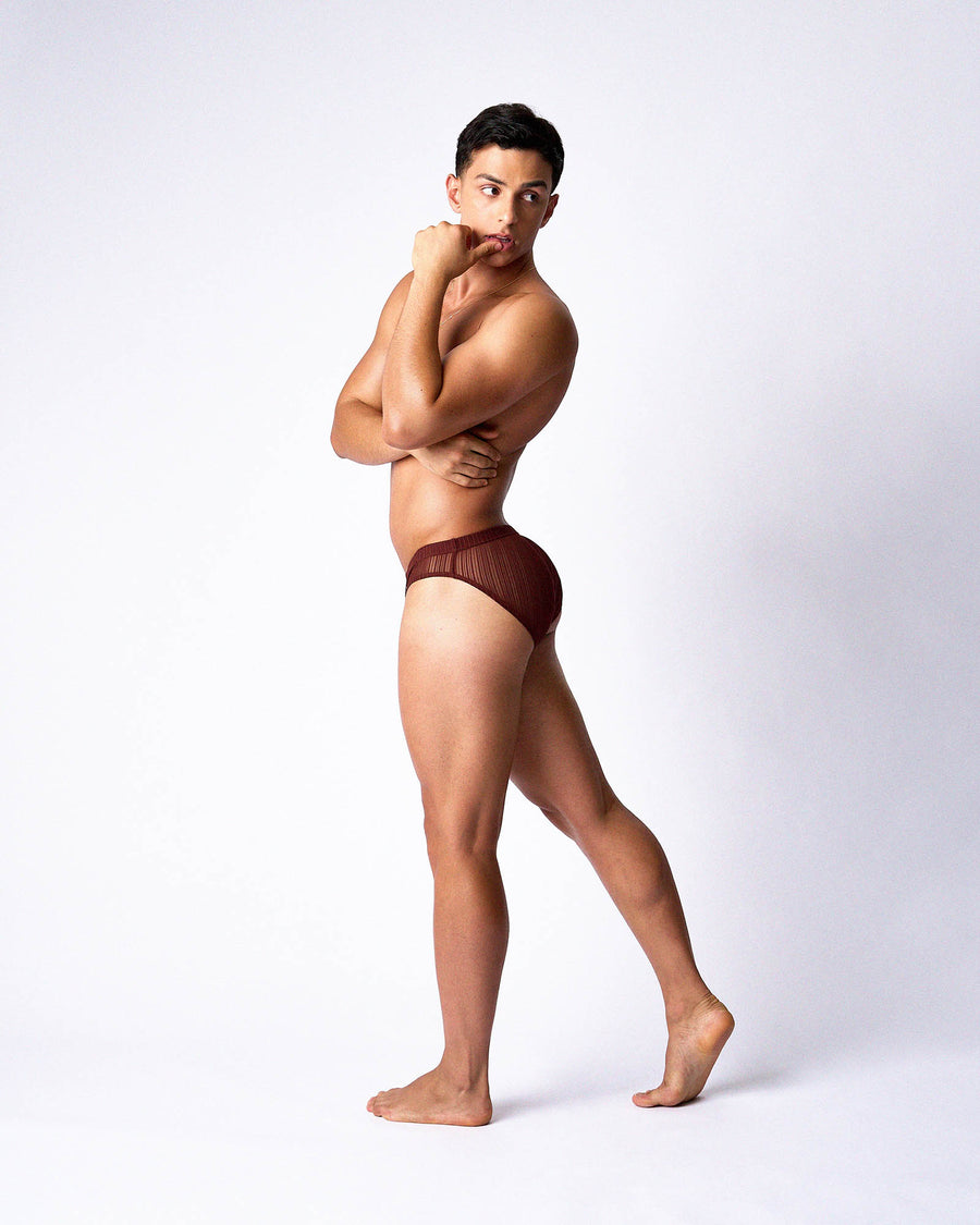 Romeo Sheer Bikini Brief - Mahogany