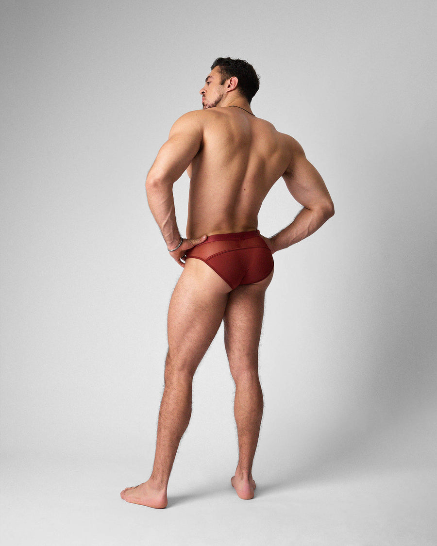 Score Sheer Slim Brief - Shiraz